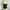 FAZBEE Black Gold Floral Lace Trim Tanktop photo 2