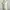 White Floral Lace Trim Tanktop photo 4