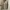 Polo Shirt Executive photo 1