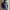 Goose Down Puffer Jacket GAP Blue Navy Bulang Buluangsa photo 2