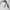 Avant Garde Sweater Pria white photo 5