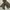 Blackyak goretex gorpcore jacket photo 9
