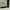 Blackyak gorpcore mp3 photo 6
