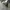 Miu Miu Casual Sneakers Wanita gray photo 6