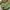 VINTAGE LONGCHAMP 90’s LE PLIAGE CLASSIC CHARTREUSE GREEN