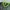 New Balance Kakusei Track Running Sweatshirt Green photo 4