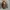 Louis Vuitton Vintage Luxury Hobo bag Wanita brown photo 2