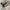 Converse All Star Chuck Taylor High Top Sailor Jerr