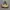 Gucci Vintage Luxury Hobo Bag Wanita Tan