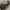 Gucci Vintage Luxury Hobo bag Wanita tan photo 5