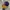 Topi New Era A frame LA Lakers original 100% photo 1