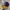 Topi New Era A Frame LA Lakers Original 100%