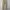 Uniform Bridge Fatigue Pants photo 6