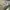 SB DUNK LOW GREEN APPLE  , SB DUNK LOW APPLE , SB DUNK LOW G photo 9