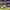 SB DUNK LOW GREEN APPLE  , SB DUNK LOW APPLE , SB DUNK LOW G photo 3