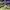 SB DUNK LOW GREEN APPLE  , SB DUNK LOW APPLE , SB DUNK LOW G photo 1