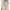 Vintage Y2K Shirt Wanita khaki cream photo 3