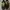 Nike Air Max 270 React - Women photo 2