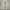 Nike Y2K Casual Parka Pria Tan Khaki Cream