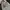 Casual Bomber jacket Pria white photo 3