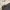Uniqlo Streetwear Casual Formal Pants Pria Tan