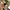 Garmin Forerunner 165 White Non Music photo 2