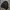 Knit Turtleneck 3D  photo 3