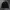 Champion Casual Sweatshirt Pria black photo 1