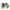 Converse Streetwear Skater Sneakers Pria white green photo 4