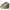 Converse Streetwear Skater Sneakers Pria White Green