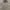 70𝒔 𝑰𝒁𝑶𝑫 𝑳𝑨𝑪𝑶𝑺𝑻𝑬 𝑪𝑨𝑹𝑫𝑰𝑮𝑨𝑵 𝑴𝑨𝑫𝑬 𝑰𝑵 photo 5