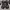 Adidas Entrap Mid 