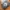 Converse Chuck Taylor All Star Garden Starter Twill (UNISEX) photo 8