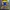 Jersey Longsleeve Parma 1999/2000 Home photo 7