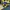 Jersey Longsleeve Parma 1999/2000 Home photo 6
