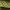 Guess Kimmy Velvet Green