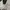 Gucci Luxury Casual Blazer Wanita black cream photo 4