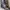 METZELER Size 42 Germany Army Boots Safety Shoes photo 1