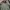 The North Face Casual Casual shirt Pria green photo 6