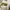 PALLADIUM BOOT HI DENIM photo 4