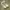 PALLADIUM BOOT HI DENIM photo 1