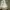 PALLADIUM BOOT HI DENIM photo 3