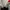 Adidas Handball Spezial Grey Red photo 6