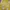 Streetwear Y2K Windbreaker Pria yellow photo 4