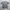 Kangol T Shirt photo 1