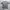 Kangol T Shirt