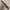 Plait Leather Belt photo 3
