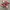 Rare Asics Gel NYC Orange Forest photo 1