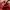 Rare Asics Gel NYC Orange Forest photo 7
