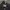 Crux Cargo Pants Multipocket Black photo 8